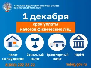 Оплатите налоги до 1 декабря 2025 года.